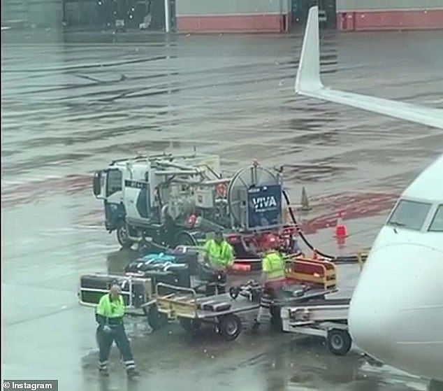 Waiting to board their flight, members of the band Chimers noticed the way their instruments were being thrown onto a trailer and the conveyor belt by the baggage handlers (pictured)