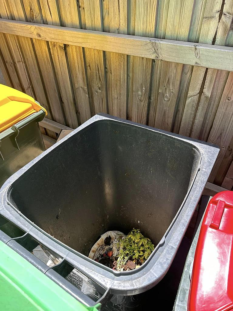 悉尼内西区垃圾桶新规引不满！民宅附近害虫激增，居民狂吐槽（组图） - 2