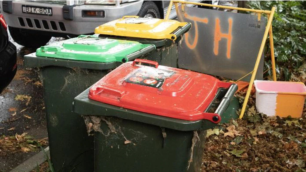 悉尼内西区垃圾桶新规引不满！民宅附近害虫激增，居民狂吐槽（组图） - 3