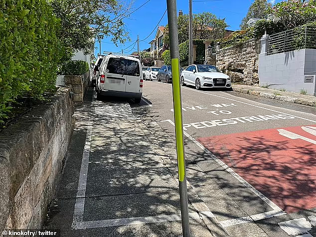 悉尼一地如此划分停车位，引居民不满！有人险些被撞（组图） - 2