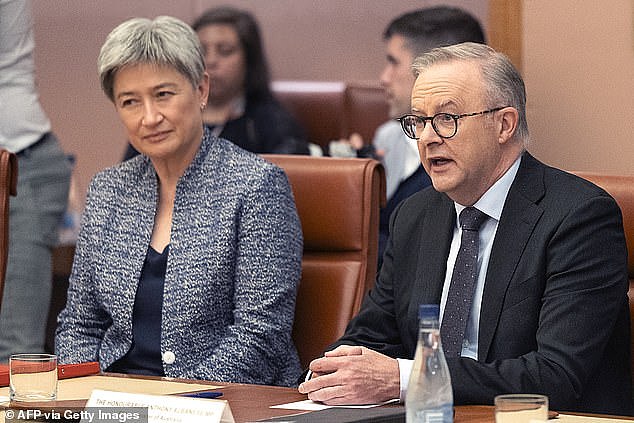 After months of Labor officially supporting Israel's right to defend itself, Prime Minister Anthony Albanese and Foreign Minister Penny Wong shocked some within the caucus when they supported a UN call for a ceasefire