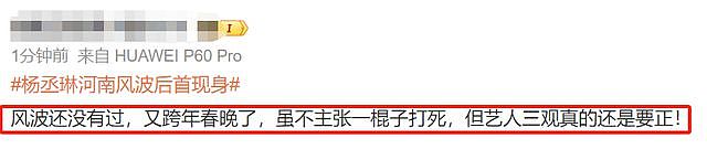 杨丞琳演唱会风波升级！被剧方宣传除名，录制跨年晚会遭抵制（组图） - 20
