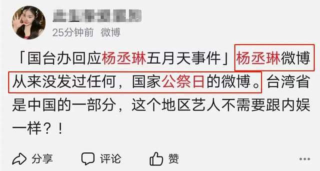 杨丞琳演唱会风波升级！被剧方宣传除名，录制跨年晚会遭抵制（组图） - 25