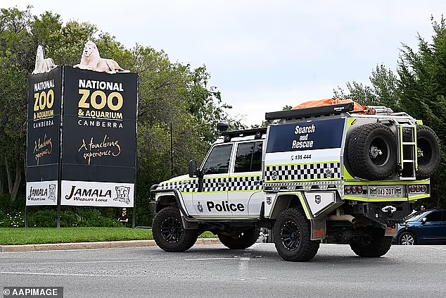 澳洲动物园发生骚乱！女员工被刺身亡，男同事当场被捕（组图） - 2