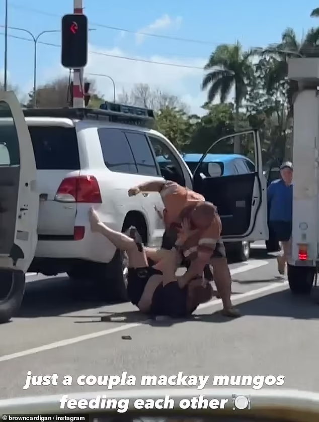 又一起路怒事件！澳tradie车流中与司机打斗，将其按倒在地猛出拳（视频/组图） - 2