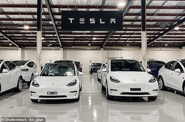 Australian government officials have turned around a huge shipment of Teslas over an insect infestation on board a giant vehicle carrier ship and sent it back to China