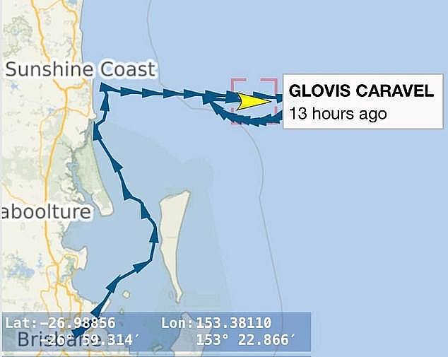 The Glovis Caravel has been circling offshore from Brisbane since October 22 as the crew battled to fumigate the ship and wipe out a plague of stink bugs