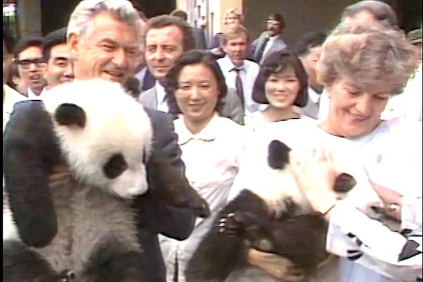 1986年，时任澳大利亚总理的鲍勃·霍克在访华期间表示，中国将临时借给澳大利亚两只大熊猫。