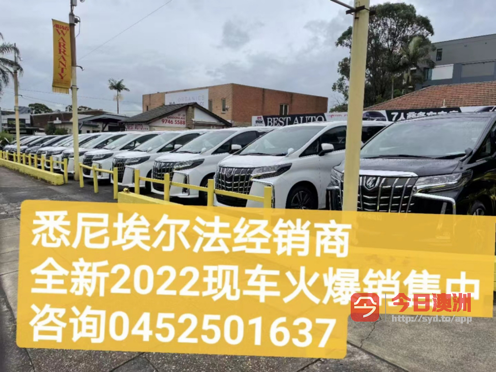 全新2023 Alphard  Hybrid 现车火爆销售