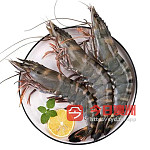 专业海鲜批发