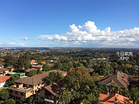Hurstville   CBD 朝北主卧对外招租