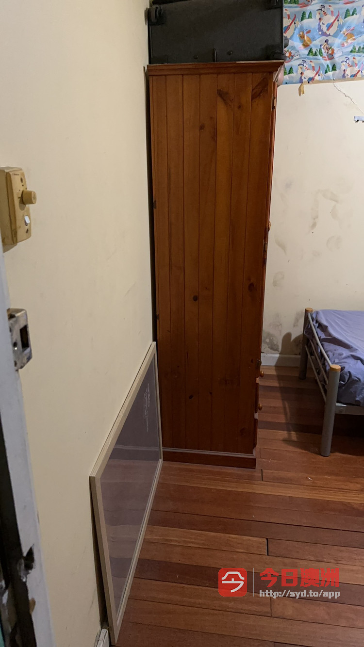 今日悉尼Burwood 单人间230周 Burwood 单人间230周