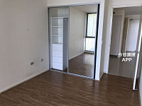Strathfield  高层公寓一居室Study 整套出租