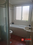 Sydney  悉尼Burwood招租