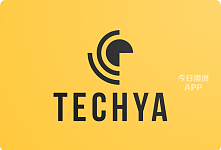  Techya IT公司承接各类网站开发