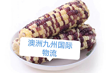 九州国际物流 冷冻食品 水果生鲜 超市供应 餐馆食材 整柜操作 国内可买单出口  双清派送到门
