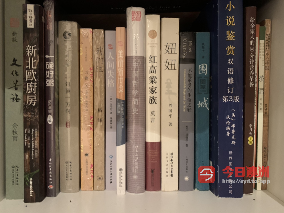 中文书籍