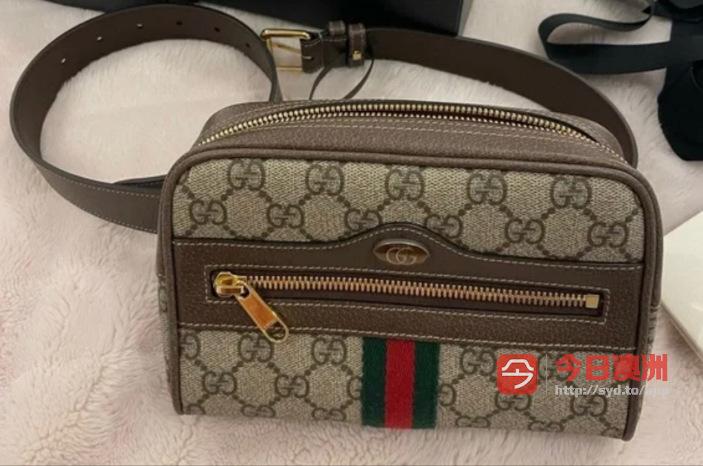 Gucci Supreme Canvas and Leather wOphidia belt bag