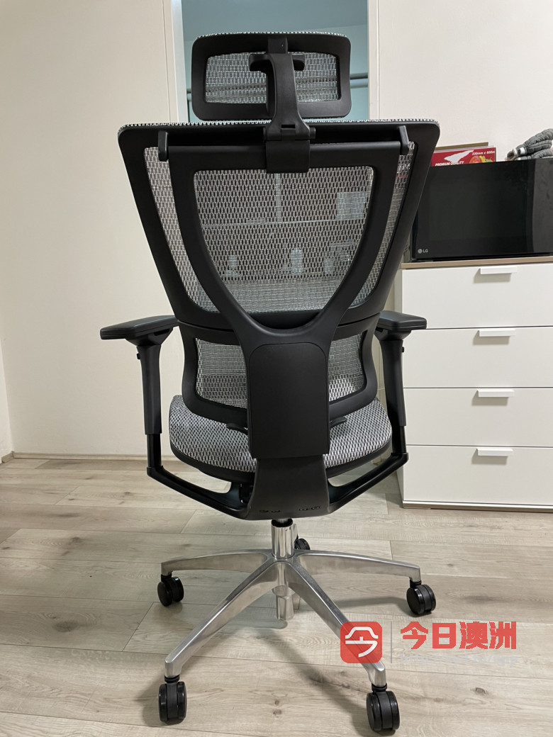 Ergohuman Premium Fit Office Chair Aluminium Base 人体工学椅