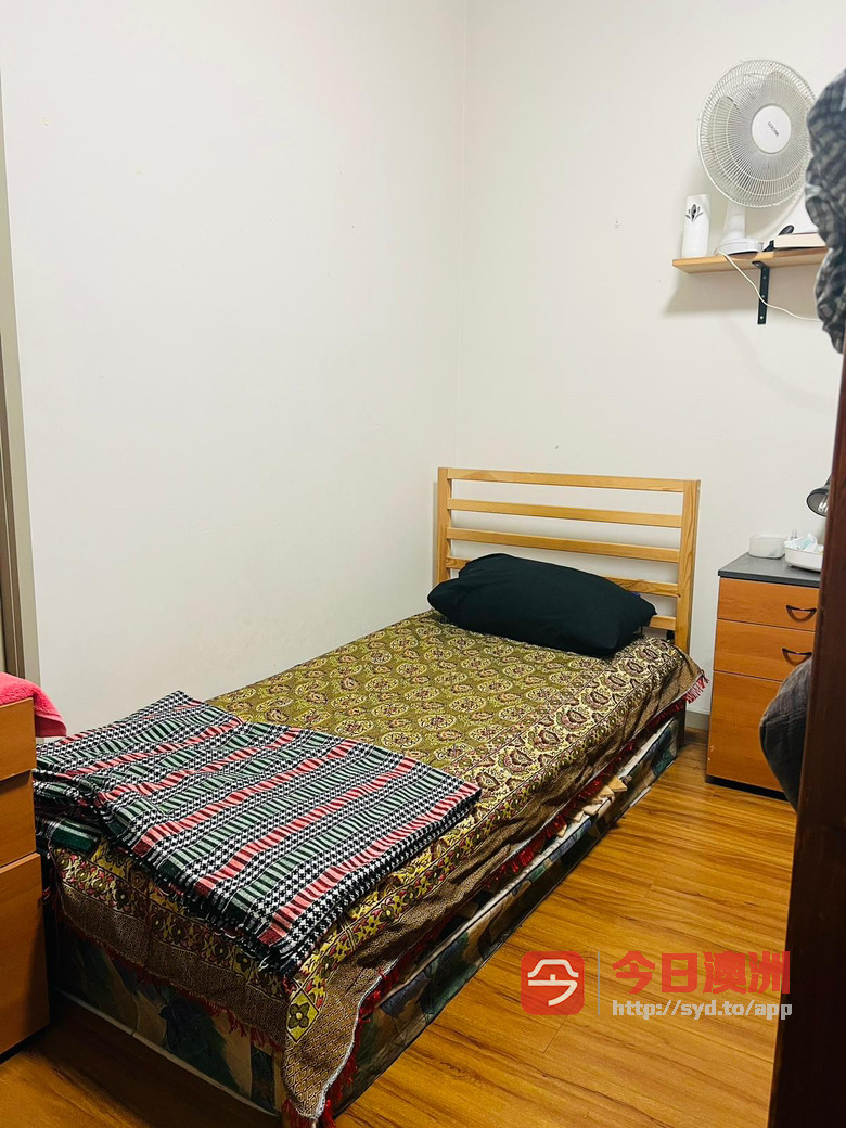 Melbourne City 市中心两室一厅  三人间 单人床 找新租客