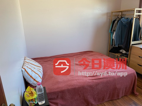 今日悉尼Mortdale Hurstville 出租房 250 Mortdale Hurstville 出租房 250