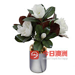 宜家夹灯阅读灯原20现10刀花含花瓶原129现49