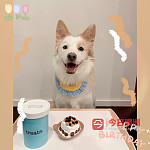 Mascot金边妹妹找男朋友啦