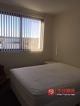 Parramatta 公寓主卧招租