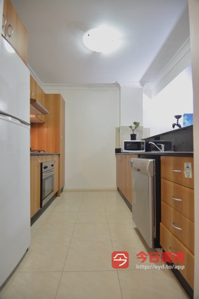 今日珀斯Burwood 下一站Strathfield公寓主卧招租 Burwood 下一站Strathfield公寓主卧招租