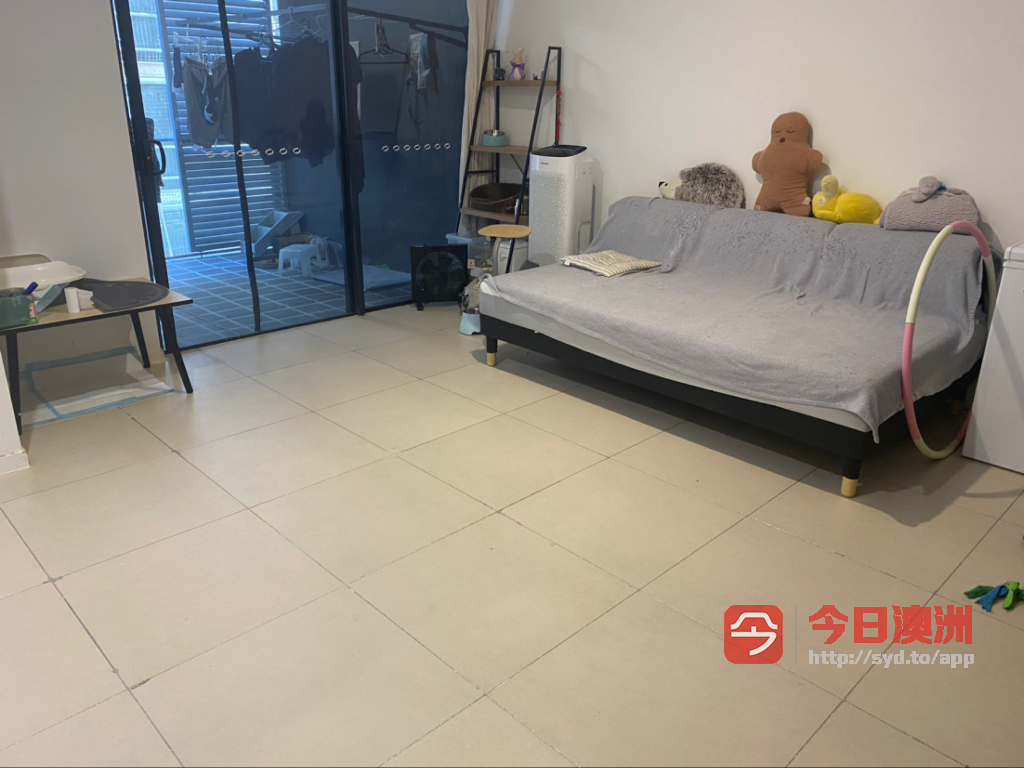 今日黄金海岸Southport 黄金海岸近大学市区豪华公寓独立卫浴出租5月25号左右入住 Southport 黄金海岸近大学市区豪华公寓独立卫浴出租5月25号左右入住