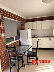 Burwood 近新双砖屋Granny Flat Studio460