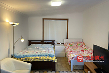 Gymea 出租 Granny Flat 带美丽花园泳池