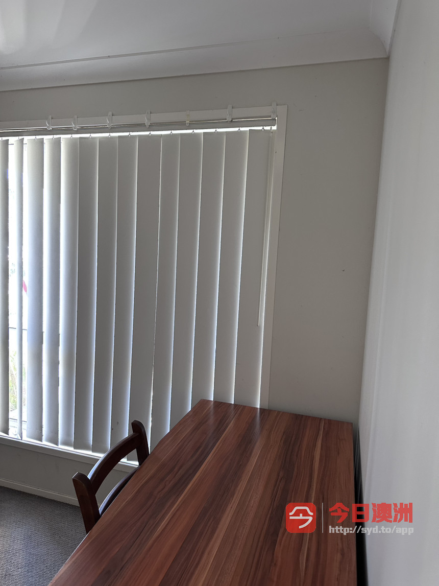 今日悉尼Campbelltown 单人房出租交通方便 信息0449280559 Campbelltown 单人房出租交通方便 信息0449280559