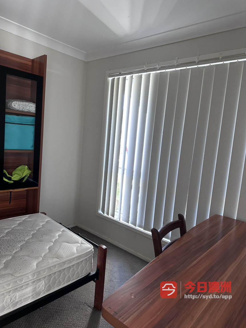 今日悉尼Campbelltown 单人房出租交通方便 信息0449280559 Campbelltown 单人房出租交通方便 信息0449280559