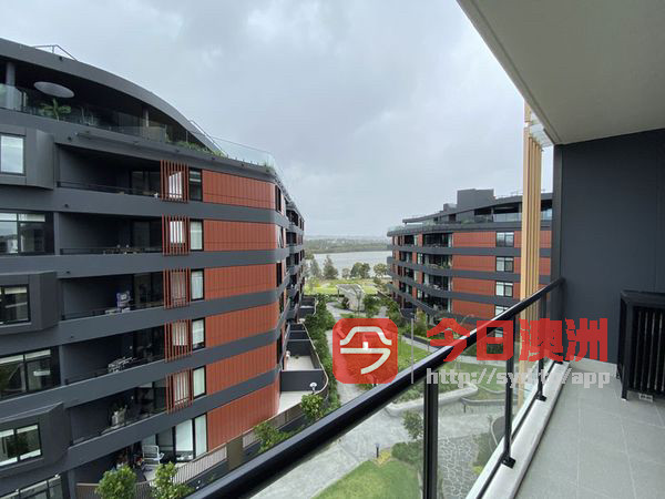 今日珀斯Wentworth Point Wentworth point 豪华两房两卫出租 Wentworth Point Wentworth point 豪华两房两卫出租