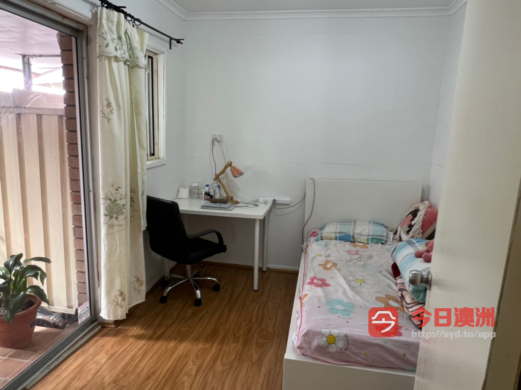 今日悉尼Wollongong 靠近免费巴士火车站购物中心单间招租 Wollongong 靠近免费巴士火车站购物中心单间招租