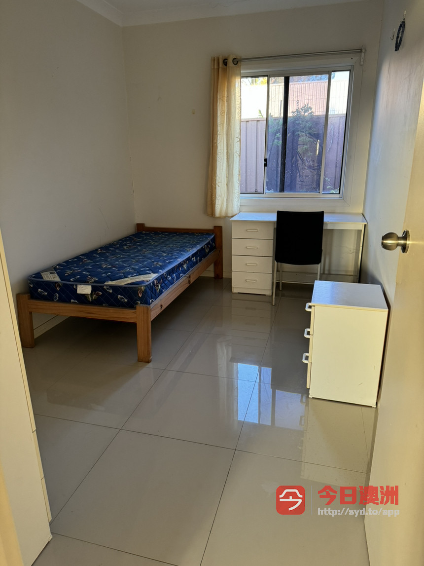 今日悉尼Hurstville house 房间出租 Hurstville house 房间出租