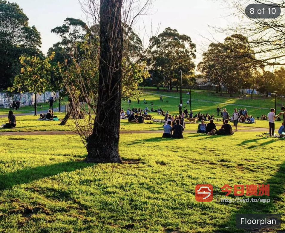 今日悉尼Camperdown 房东直租悉尼大学对面近City两房两卫 Camperdown 房东直租悉尼大学对面近City两房两卫