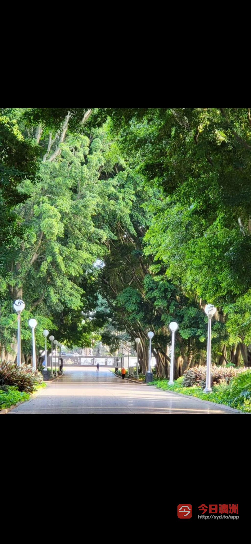 今日悉尼Burwood 车位出租 Burwood 车位出租