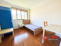 Macquarie Park 麦考瑞mq找室友 单间特价出租可短租