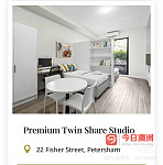 Petersham 12月初到2月初专注