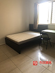 Homebush West 大房出租