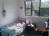 Camperdown 急转 1212110 235pw