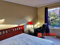 Surry Hills Central Sydney 双人房招租 近City ChinaTown Usyd
