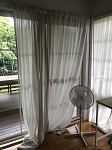 Marsfield  单房出租