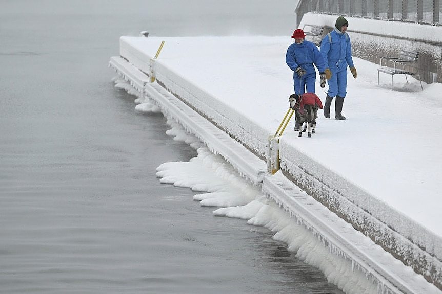 People in winter clothes walk a dog by the sea on a frozen pier in Finland