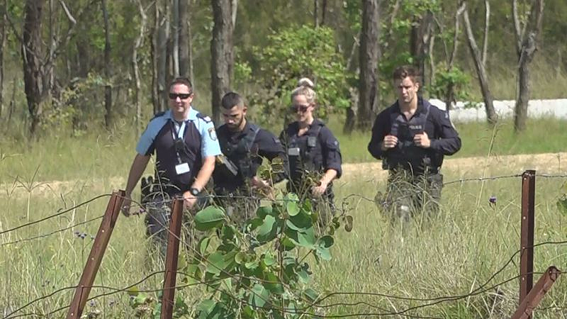悉尼男子涉嫌家暴，引发2次追捕！躲在6米高树上，警方成功“劝降”（组图） - 2