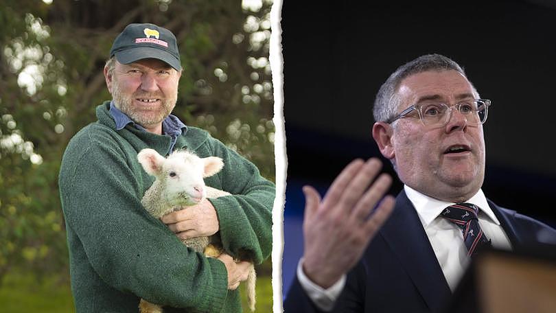 WA farmers have accused the Federal Government of playing politics with their livelihoods and ‘spending money for nothing’ by hiring consultants to review live sheep export studies as part of its trade phase-out policy.