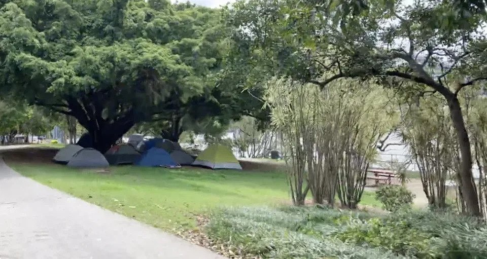 Tents pictured under a tree in Brisbane park.