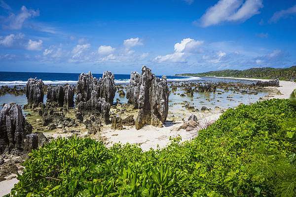 ▲▼太平洋岛国诺鲁（Nauru）的岩岸。 （图／达志影像／newscom）